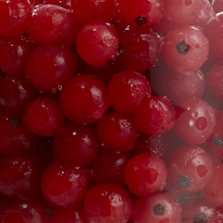 IQF Redcurrant