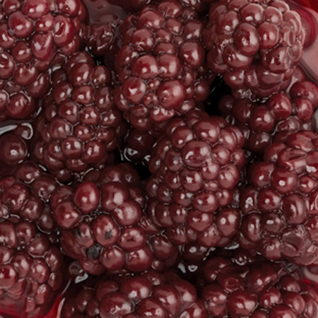 Canned Blackberries in Light Syrup