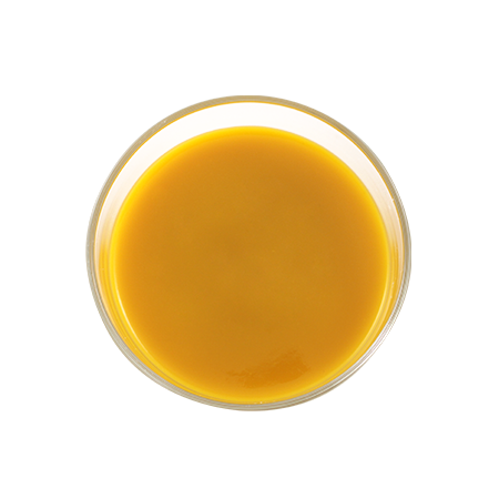 Sweetened Fruit Puree Mango